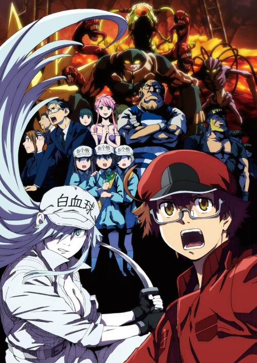 Hataraku Saibou Black เซลล์ขยัน พันธุ์เดือด แบล็ค ซับไทย