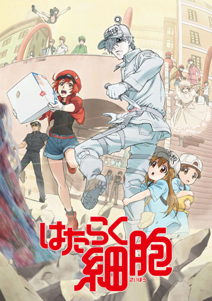 Hataraku Saibou (Cells at Work!) Season 1 เซลล์ขยัน พันธุ์เดือด ซีซั่น 1 พากย์ไทย